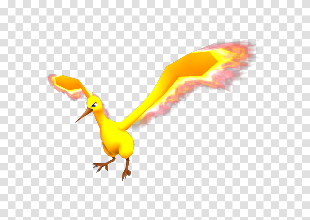 Wii, Bird, Animal, Beak, Flying Transparent Png