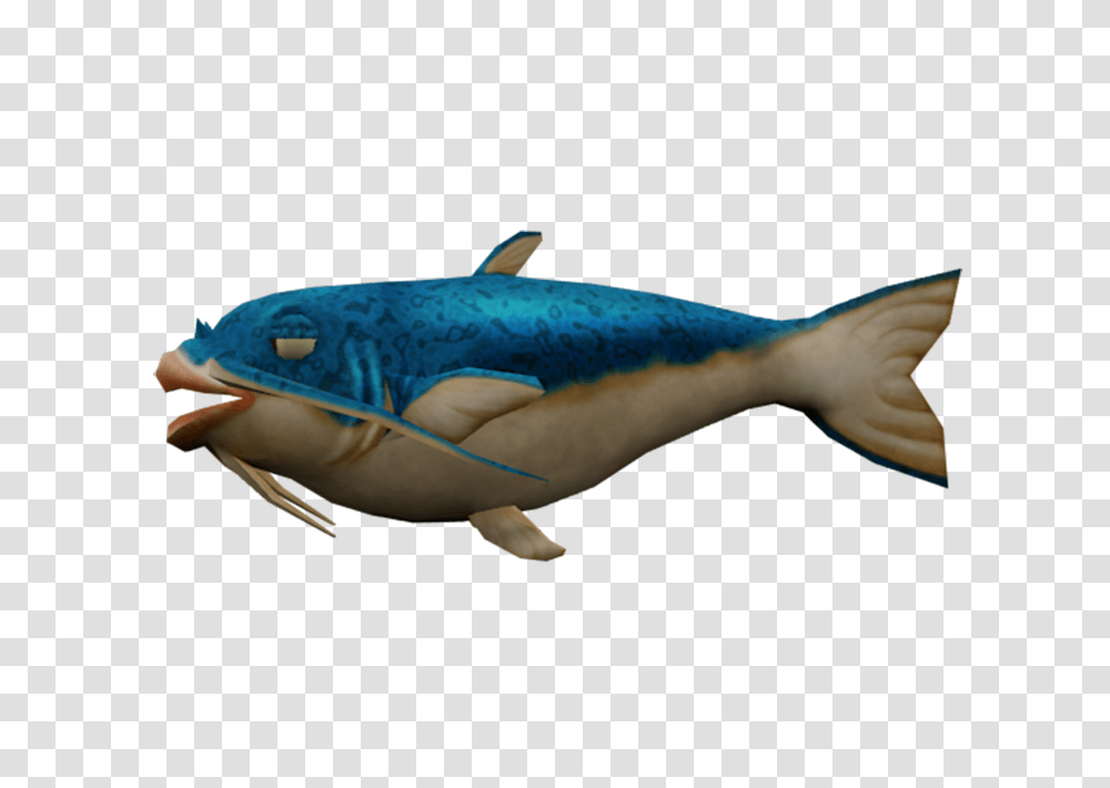 Wii, Fish, Animal, Person, Sea Life Transparent Png