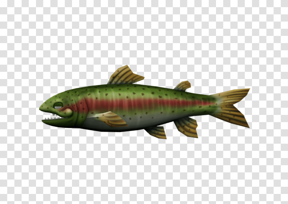 Wii, Trout, Fish, Animal, Fishing Lure Transparent Png