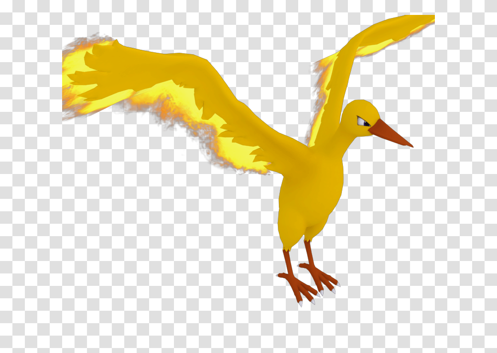 Wii U, Bird, Animal, Beak, Flying Transparent Png