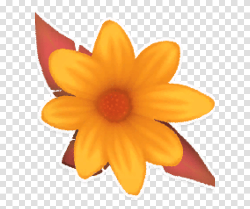 Wiki Help Icon Narcissus, Plant, Dahlia, Flower, Anther Transparent Png