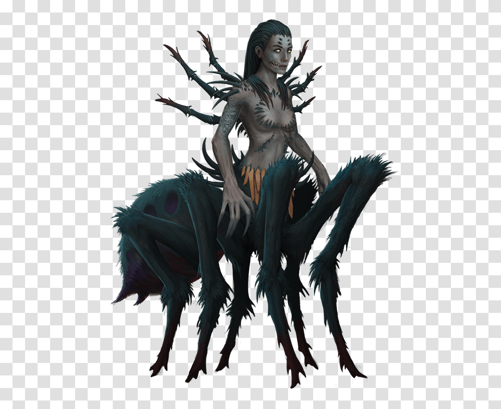 Wiki Of The Dead Iratus Black Widow, Bird, Person, Painting Transparent Png