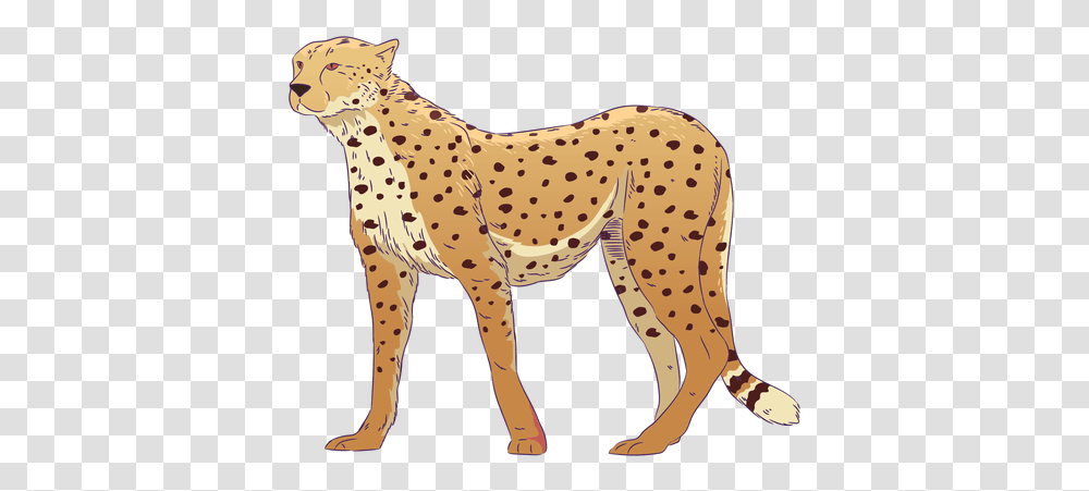 Wild Animal Cheetah Hand Drawn Colorful Cheetah Drawn, Wildlife, Mammal Transparent Png