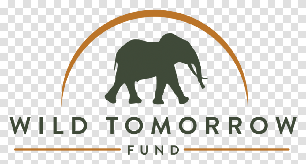 Wild Animal Wild Tomorrow Fund Logo, Elephant, Wildlife, Mammal, Poster Transparent Png