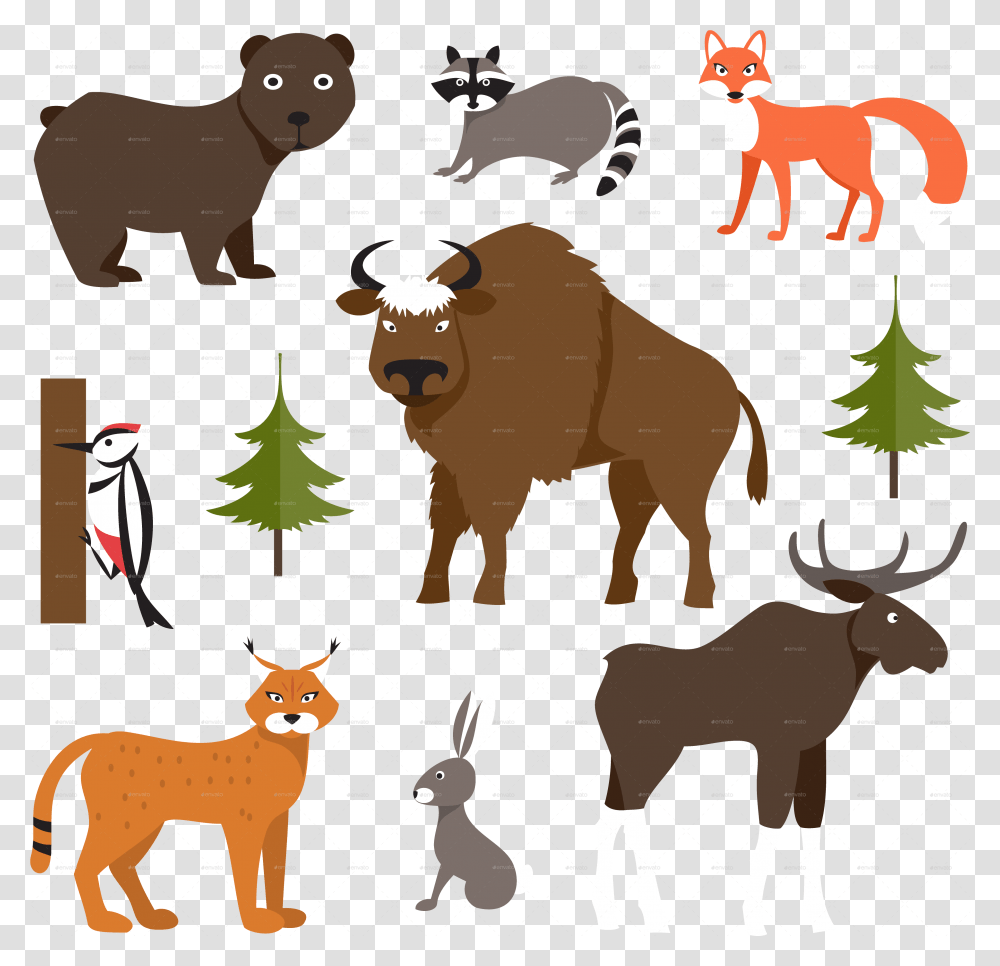 Wild Animals Forest Animals, Tree, Plant, Mammal, Graphics Transparent Png