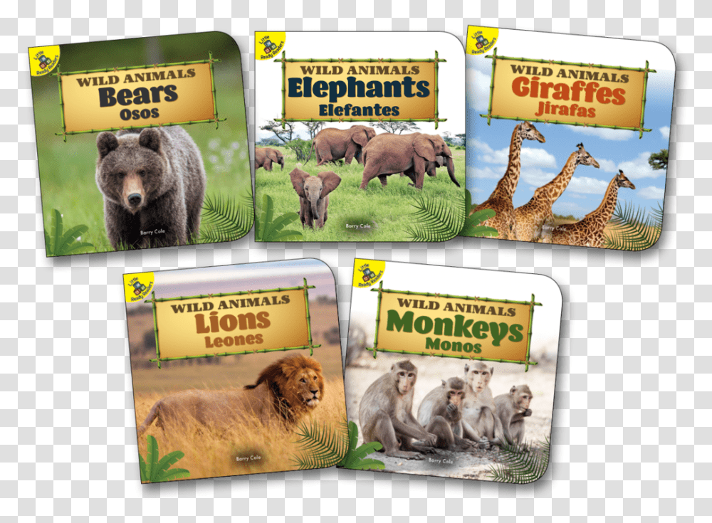 Wild Animals Herd, Bear, Wildlife, Mammal, Giraffe Transparent Png