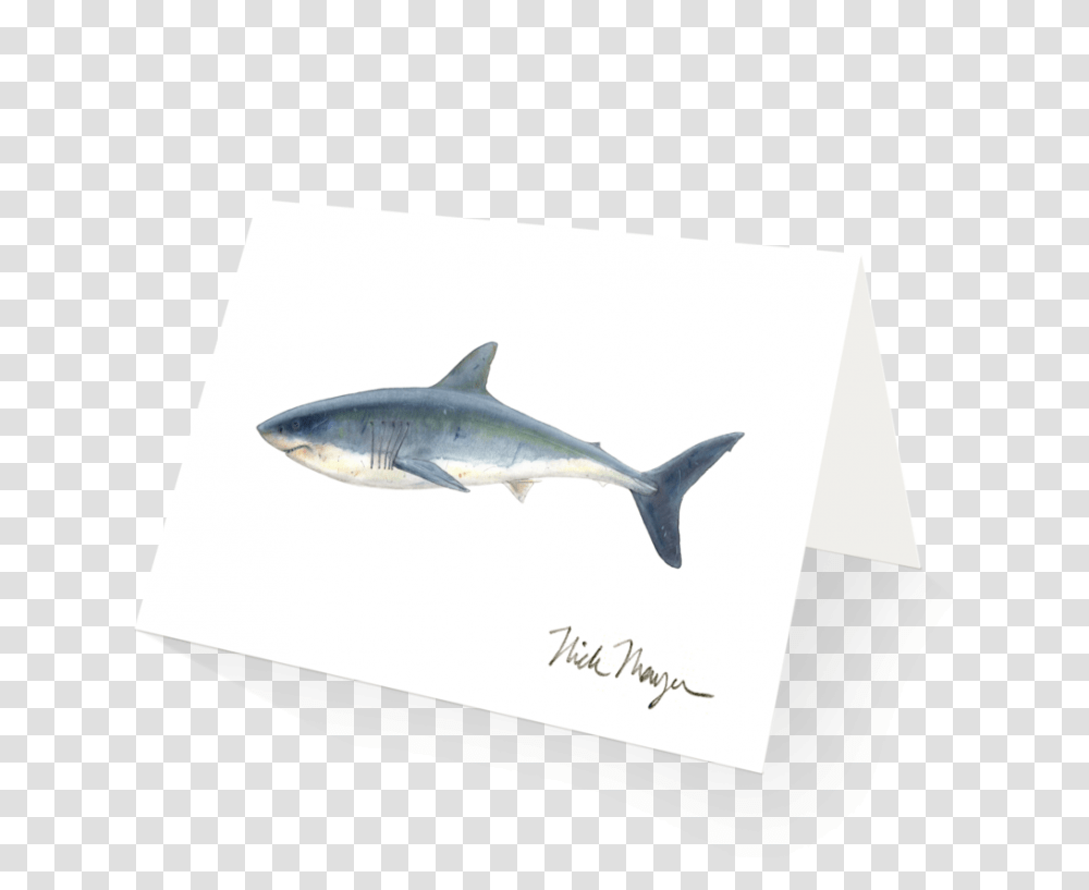 Wild Atlantic Salmon Thunnus, Fish, Animal, Sea Life, Shark Transparent Png