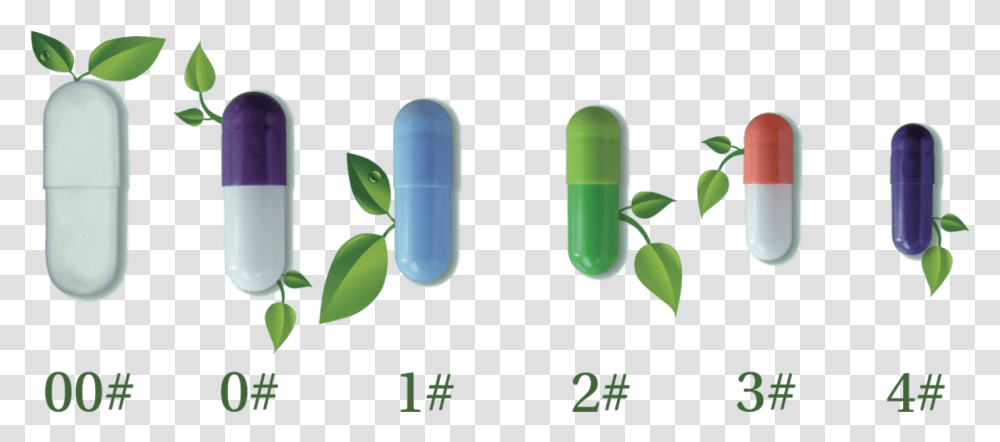 Wild Aus Der Region, Capsule, Pill, Medication Transparent Png