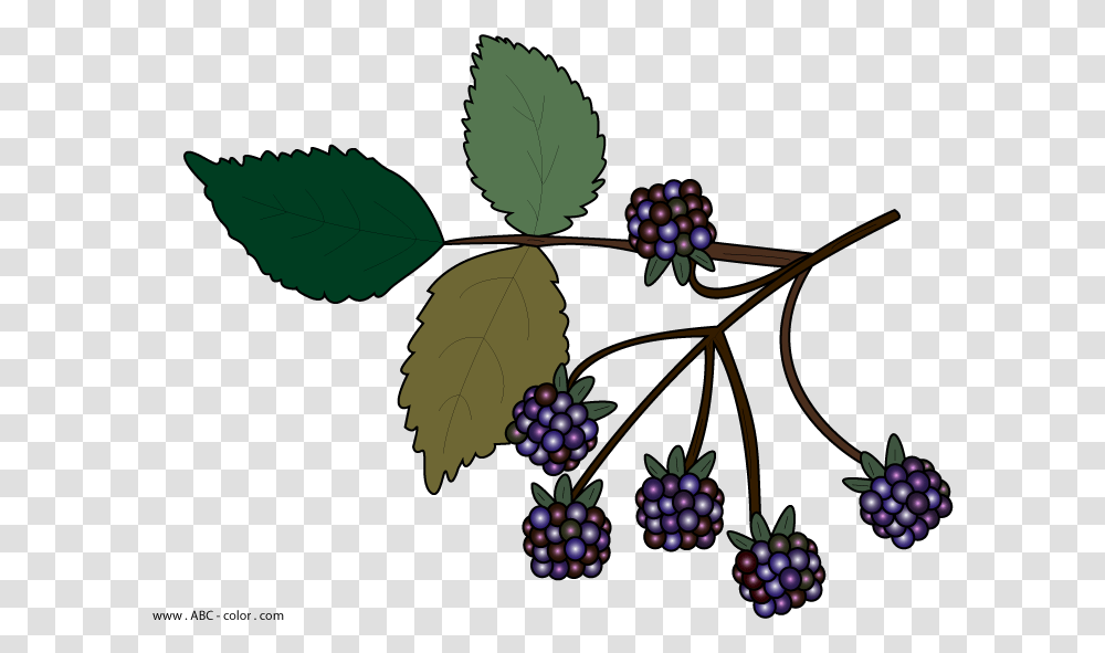 Wild Berries Clipart No Background Bramble Clip Art, Leaf, Plant, Green, Fruit Transparent Png