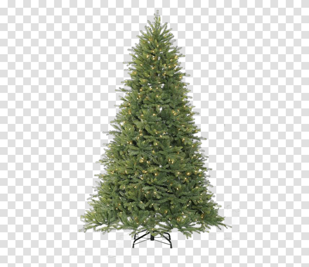 Wild Bird Center Serving Connecticut Artificial Christmas Tree, Ornament, Plant, Pine, Conifer Transparent Png