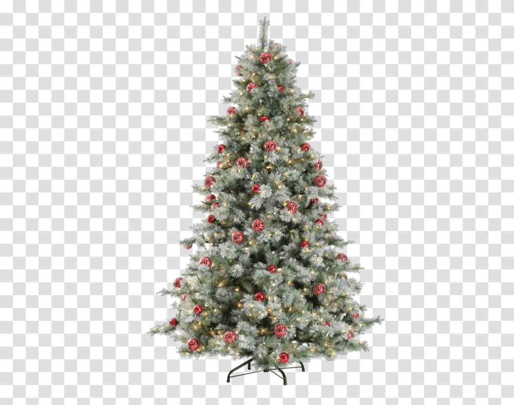 Wild Bird Center Serving Connecticut Lit Christmas Tree, Ornament, Plant, Pine, Conifer Transparent Png