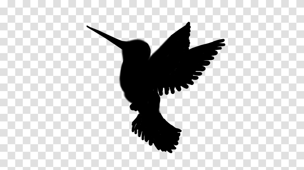 Wild Bird Cliparts, Gray, World Of Warcraft Transparent Png