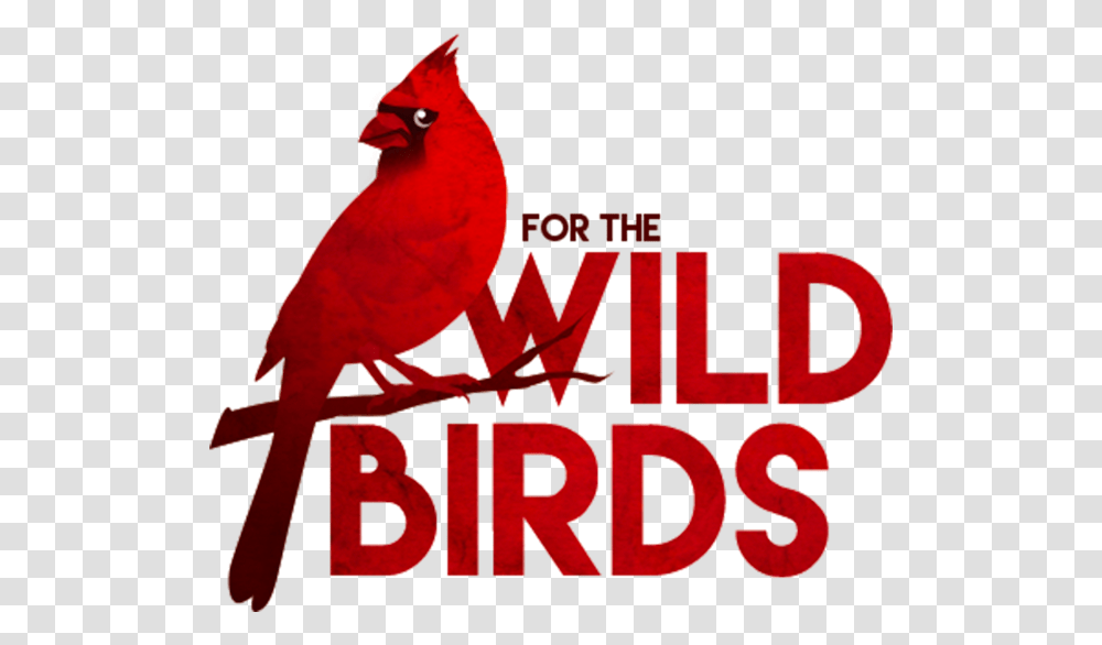 Wild Bird Logo, Animal, Cardinal Transparent Png