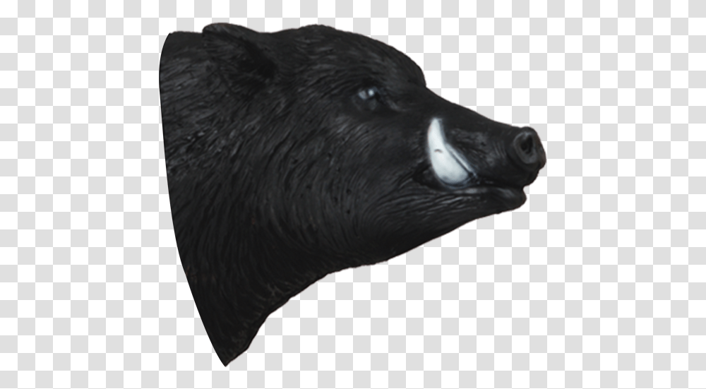 Wild Boar 3d Archery Target Replacement Head American Black Bear, Pig, Mammal, Animal, Beak Transparent Png