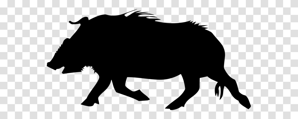Wild Boar Download Mammal Document Pig, Gray, World Of Warcraft Transparent Png