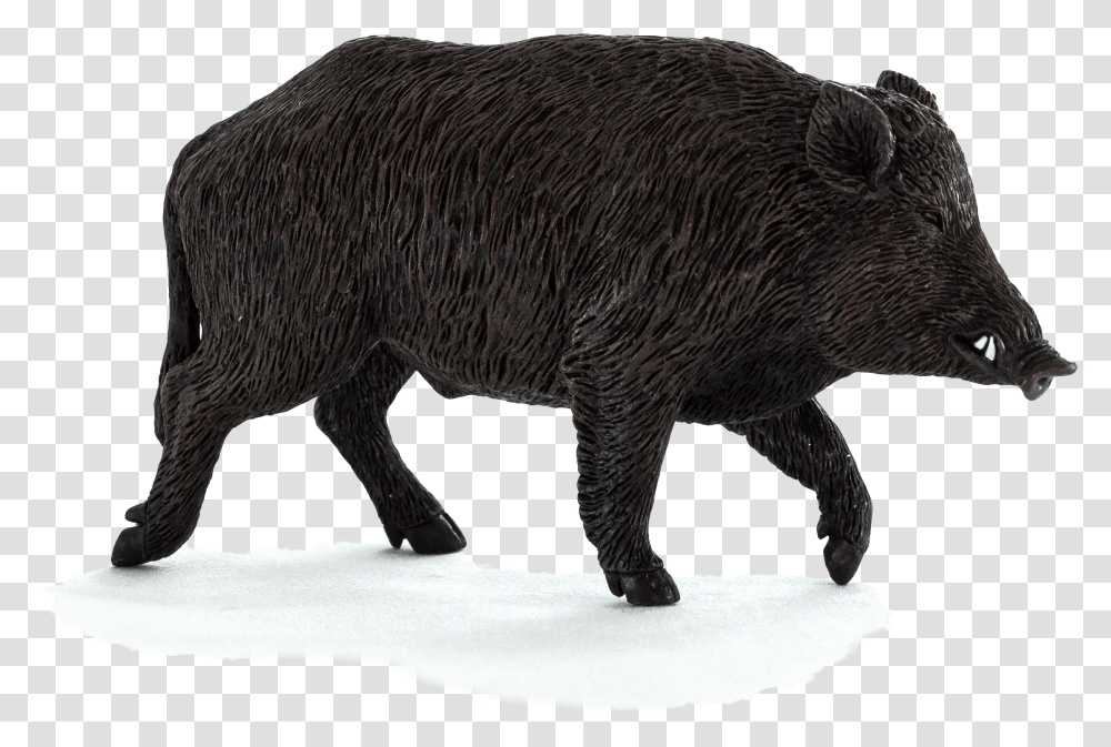 Wild Boar Pic, Hog, Pig, Mammal, Animal Transparent Png