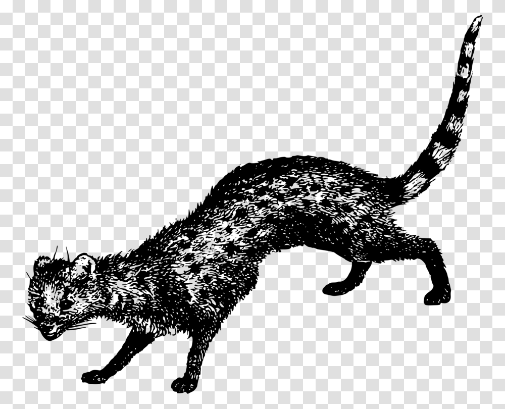 Wild Cat, Gray, World Of Warcraft Transparent Png