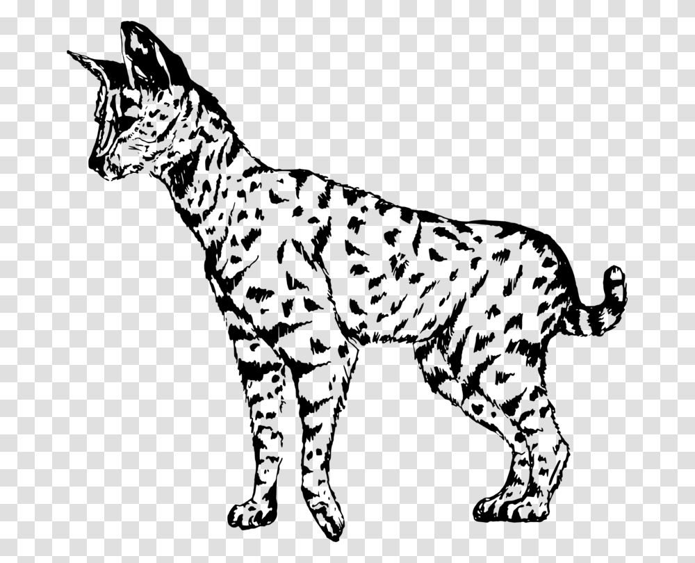 Wild Catcarnivorandog Breed Serval Clipart Black And White, Gray, World Of Warcraft Transparent Png