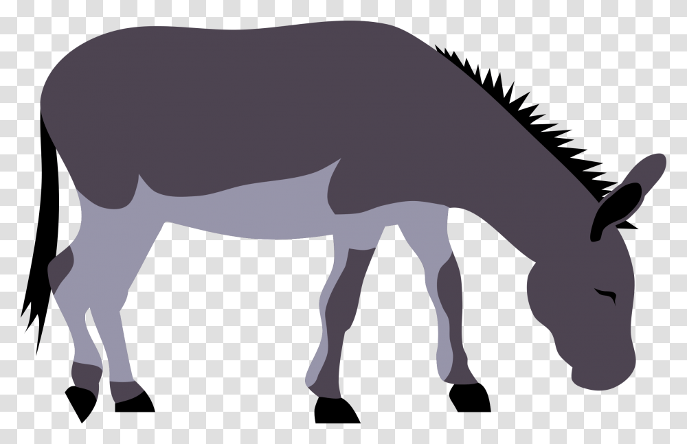 Wild Donkey, Animal, Mammal, Wildlife, Horse Transparent Png