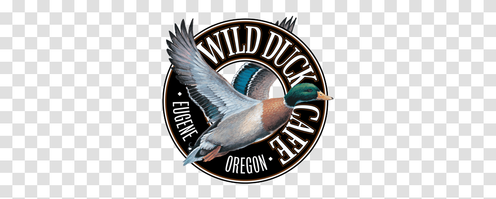 Wild Duck Cafe Domestic Duck, Bird, Animal, Logo, Symbol Transparent Png