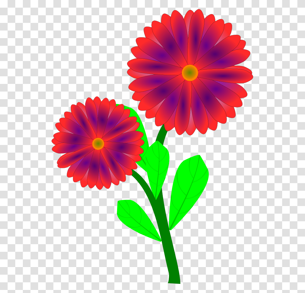 Wild Flower Clip Art, Plant, Petal, Daisy, Pattern Transparent Png