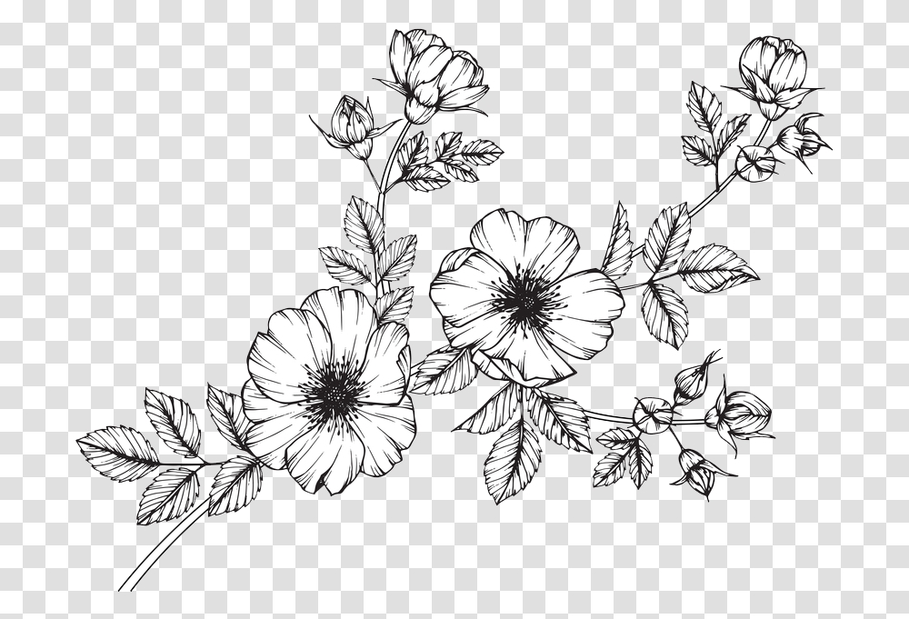 Wild Flowers Collection Of Free Wildflowers Minimalist Wild Flower Clip Art, Graphics, Floral Design, Pattern, Plant Transparent Png