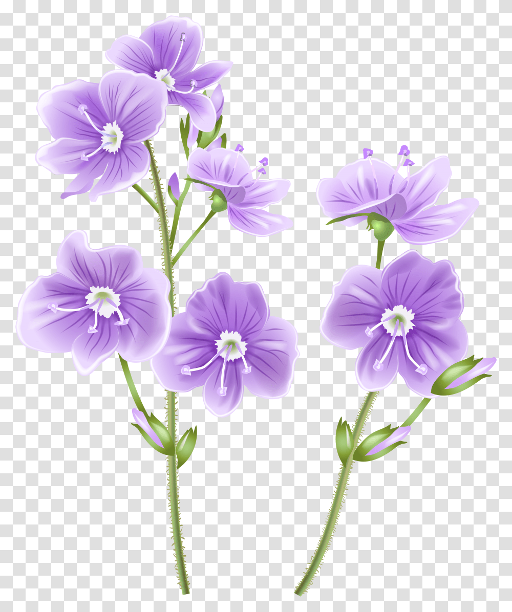 Wild Flowers & Free Flowerspng Images Background Wildflower Clipart Transparent Png