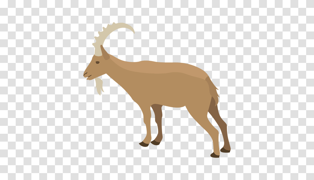 Wild Goat Illustration, Animal, Mammal, Antelope, Wildlife Transparent Png