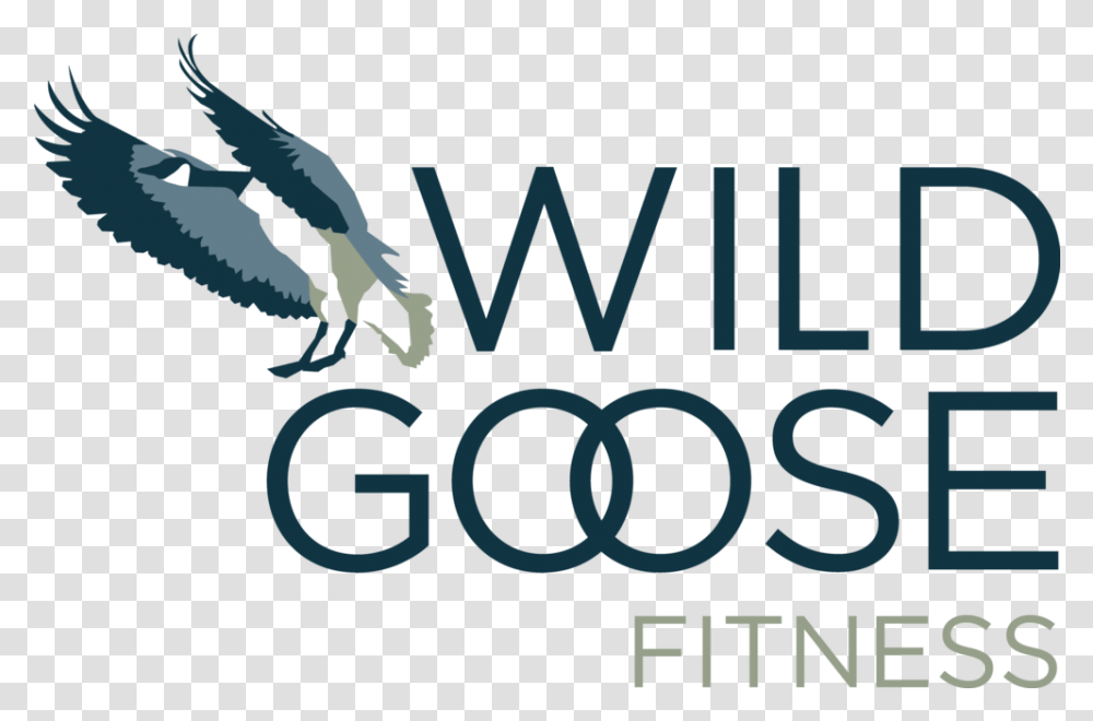 Wild Goose Fitness, Logo, Symbol, Word, Poster Transparent Png