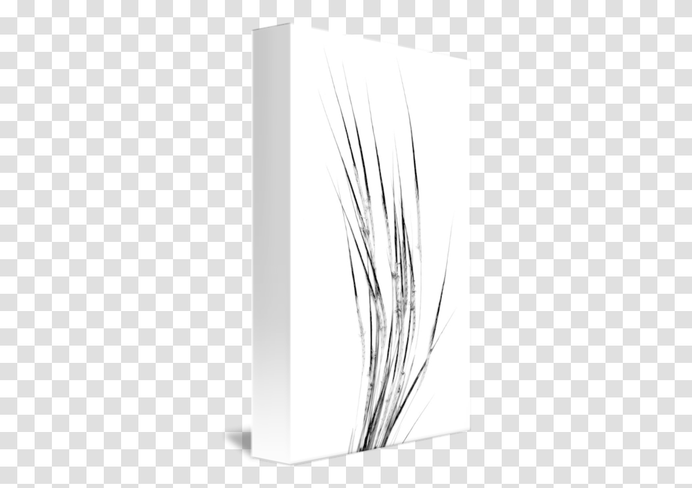 Wild Grasses V Edit D By Nawfal Johnson Nur Line Art, Drawing, Graphics, Sketch, Plant Transparent Png