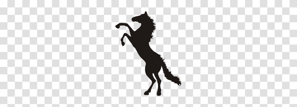 Wild Horse Eshop Stickers, Silhouette, Stencil, Person, Human Transparent Png