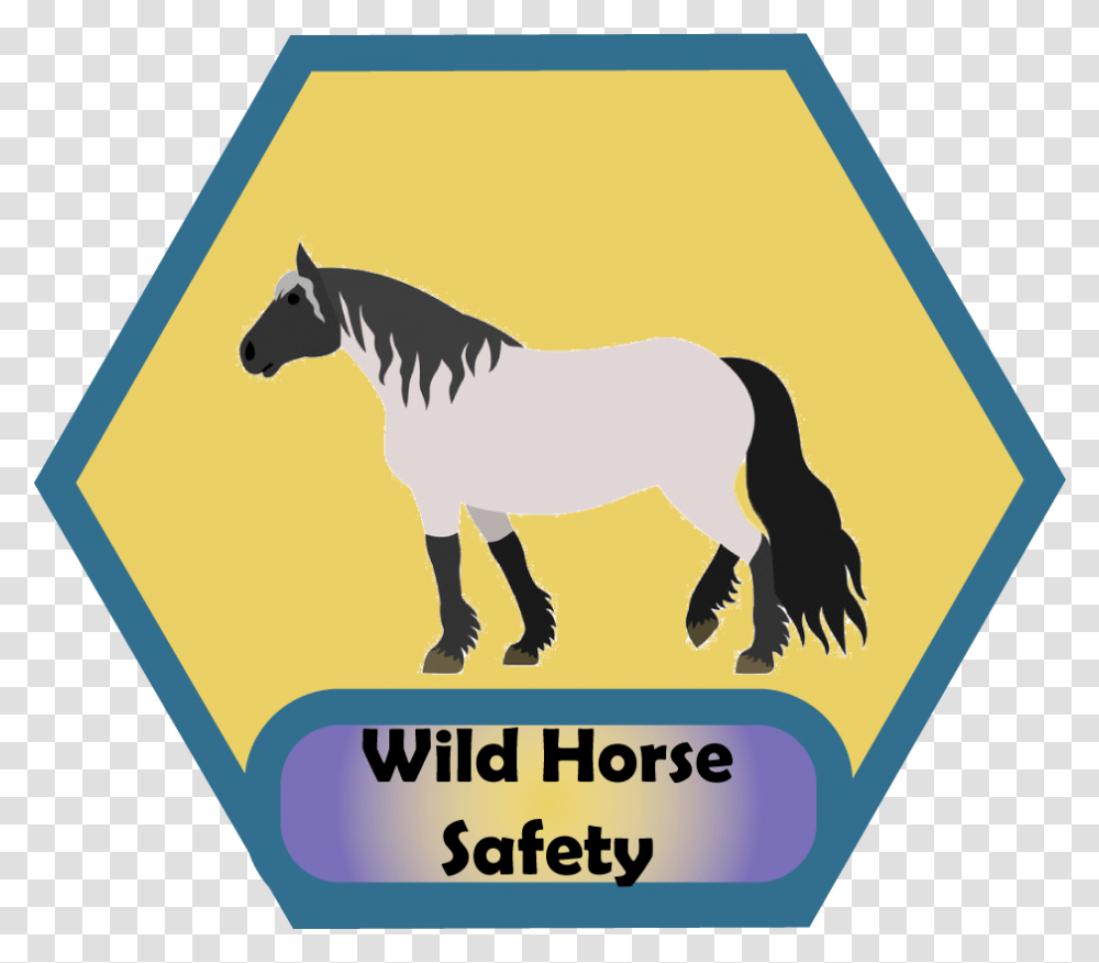 Wild Horse, Label, Mammal, Animal Transparent Png