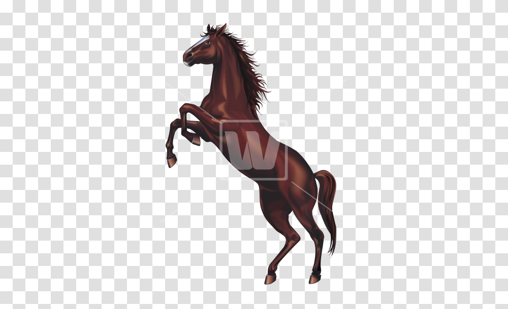 Wild Horse, Mammal, Animal, Person, Colt Horse Transparent Png