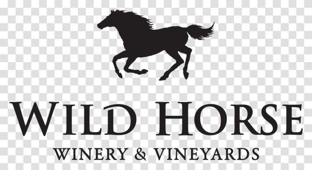 Wild Horse Wine Logo, Poster, Advertisement, Animal, Mammal Transparent Png
