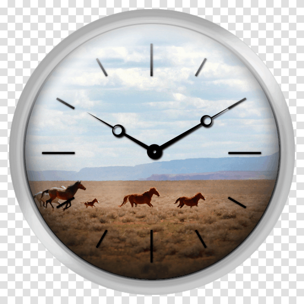 Wild Horses Navajo Nation Indian Reservation Usa Texture Clock, Wall Clock, Analog Clock, Clock Tower, Architecture Transparent Png