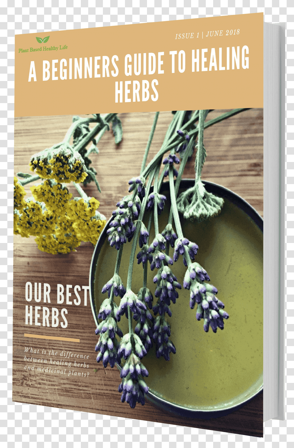 Wild Plants Herbal Salve, Flower, Blossom, Lavender, Lupin Transparent Png