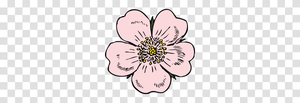 Wild Rose Bloom Clip Art Clip Art Printables, Plant, Flower, Blossom, Anther Transparent Png