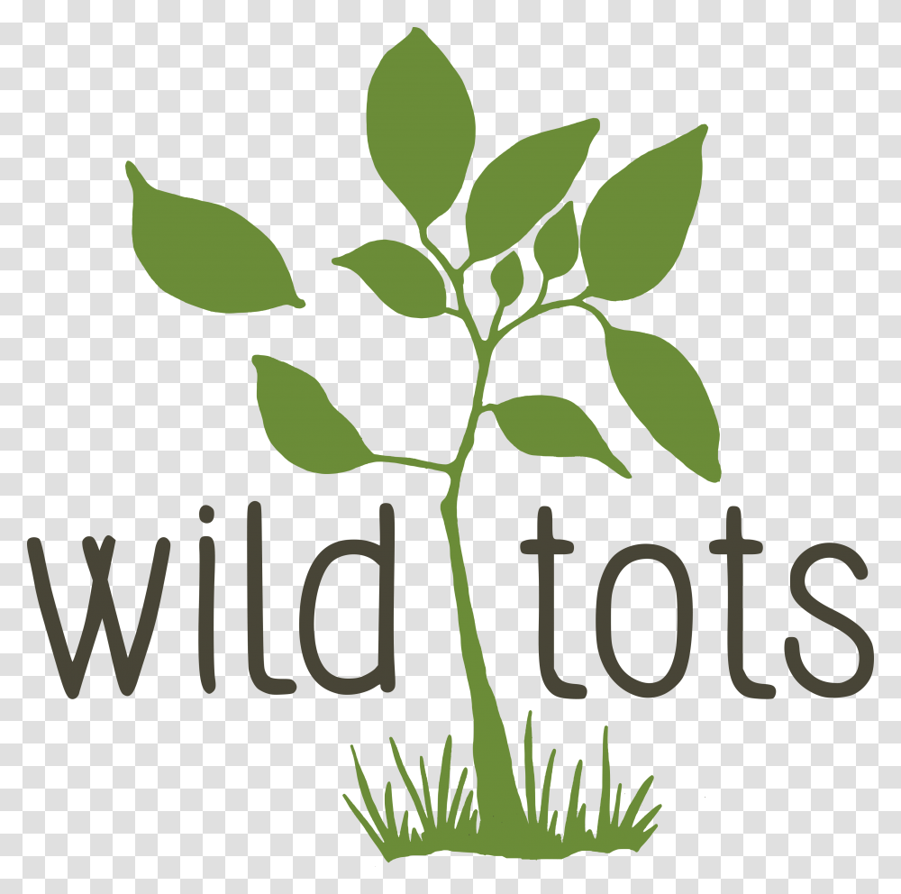 Wild Tots Launches Its First Licensed Group With Partners, Green, Plant, Leaf, Sprout Transparent Png