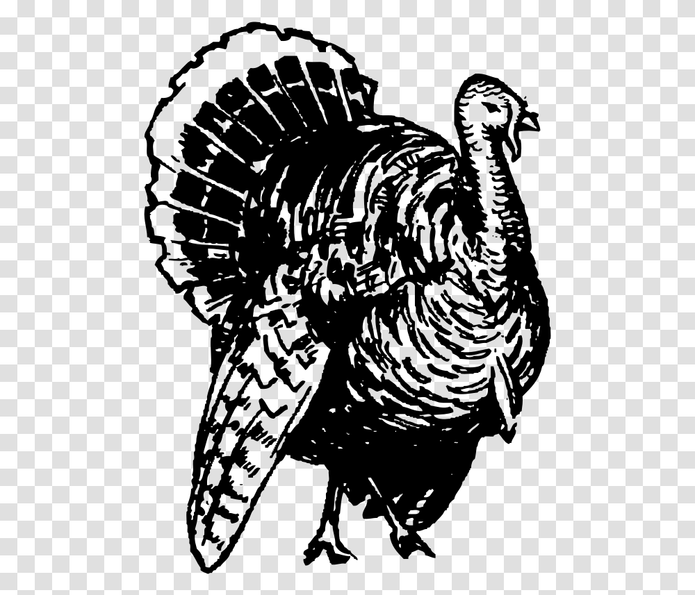 Wild Turkey Clipart Black And White, Gray, World Of Warcraft Transparent Png