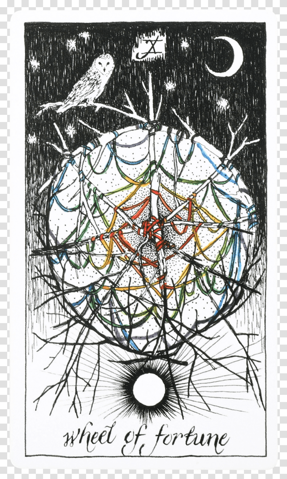 Wild Unknown Tarot Wheel Of Fortune, Bird, Animal, Doodle Transparent Png