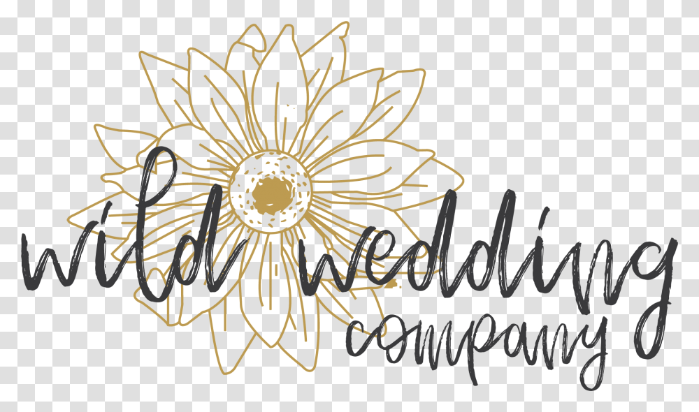 Wild Wedding Company Calligraphy, Pattern Transparent Png