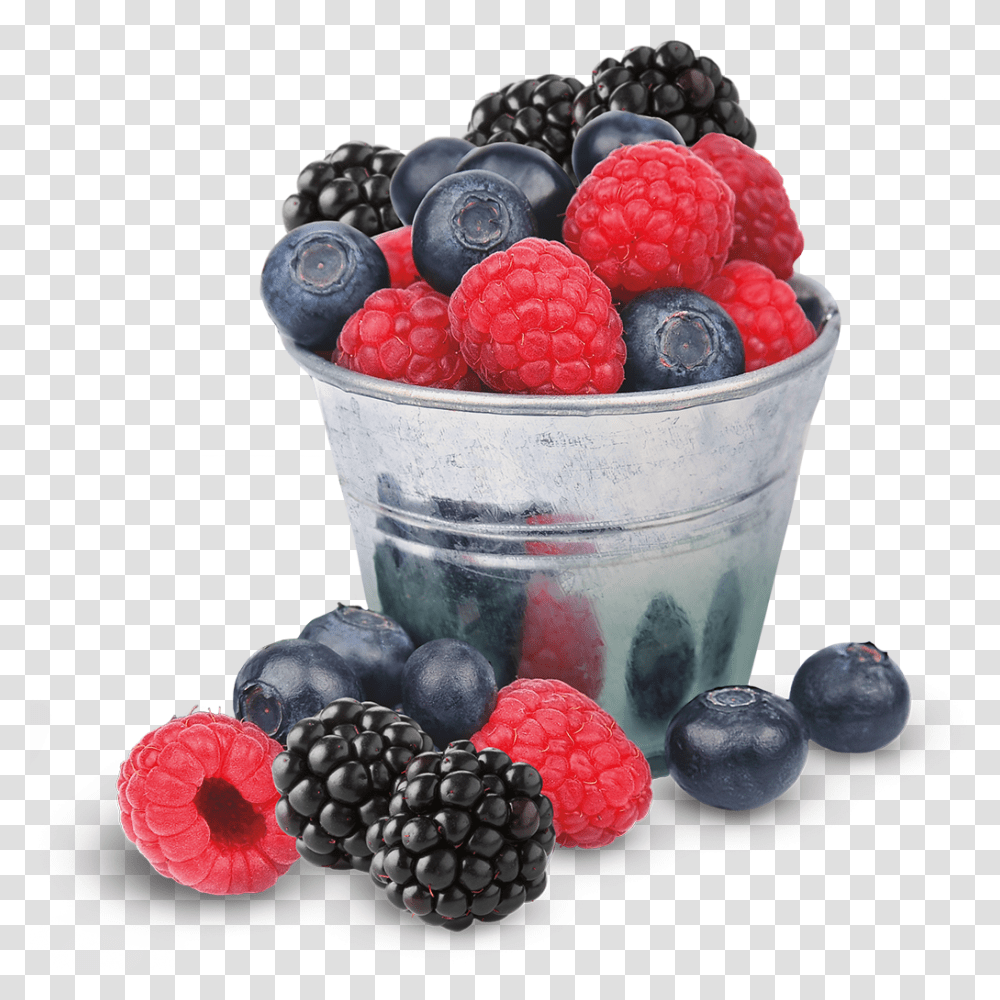 Wildberry, Blueberry, Fruit, Plant, Food Transparent Png