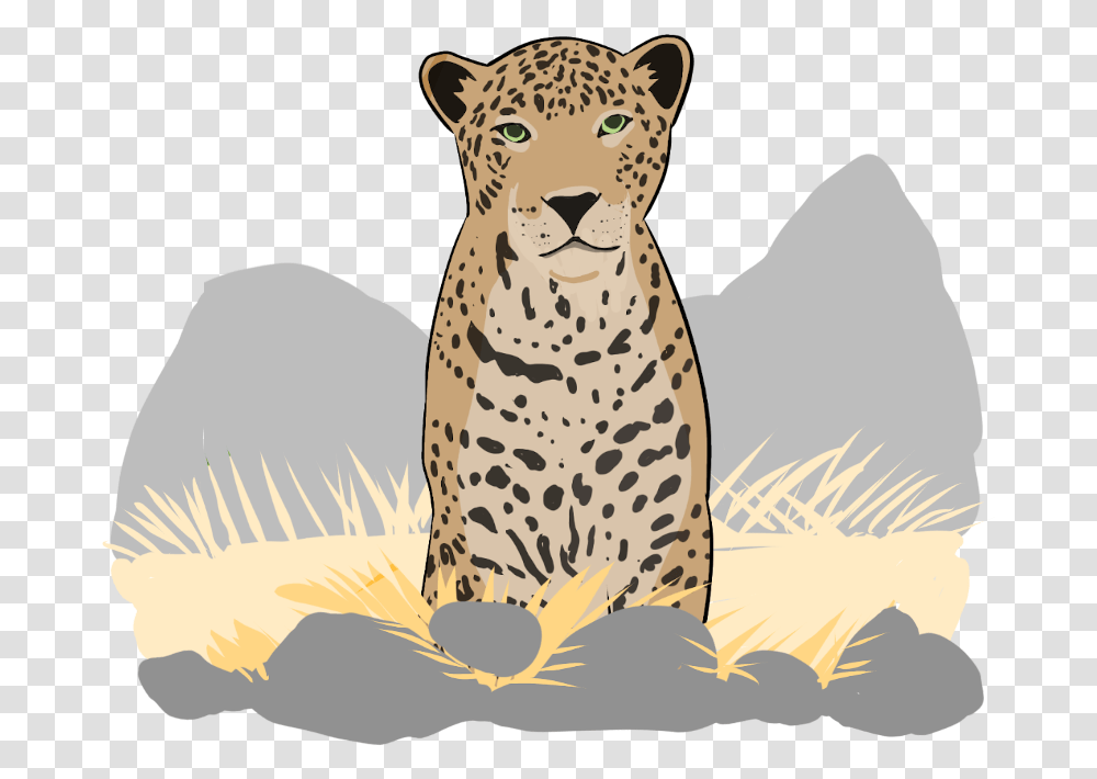 Wildcards Animals, Mammal, Panther, Wildlife, Leopard Transparent Png