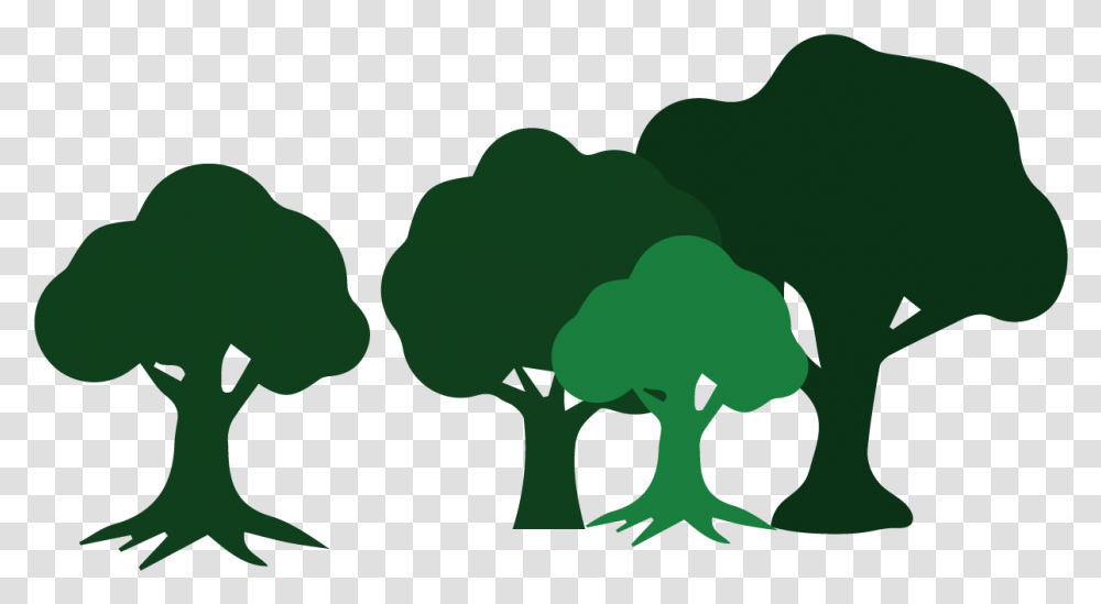 Wildcat Creek Tree Services Has The Skills To Assist Illustration, Plant, Vegetable, Food, Broccoli Transparent Png