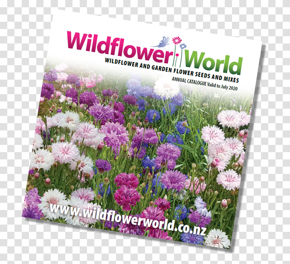 Wildflower Annual Catalogue Cover 2019 Chrysanths, Plant, Dahlia, Blossom Transparent Png