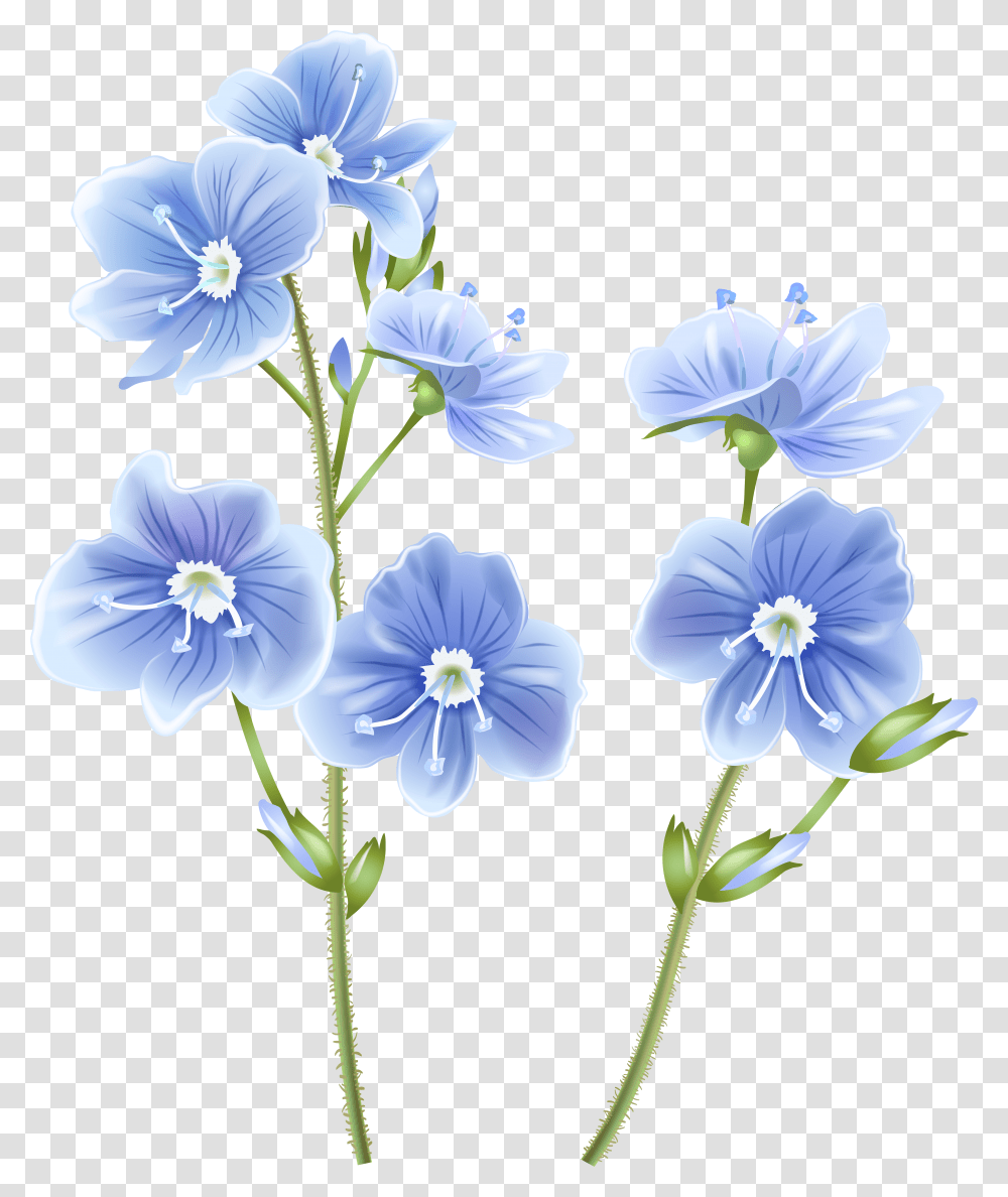 Wildflower Clip Background Wild Flowers Transparent Png