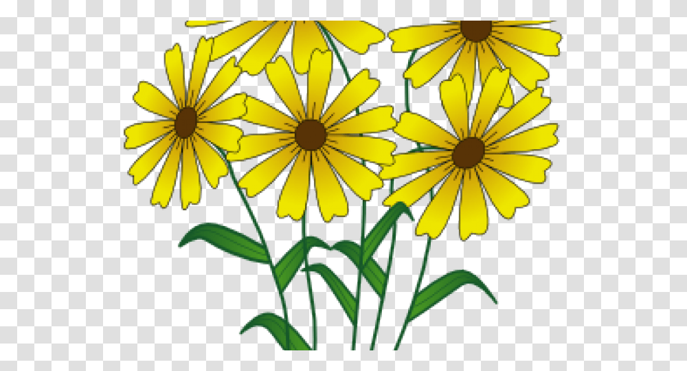 Wildflower Clipart Clip Art, Plant, Blossom, Daisy, Daisies Transparent Png