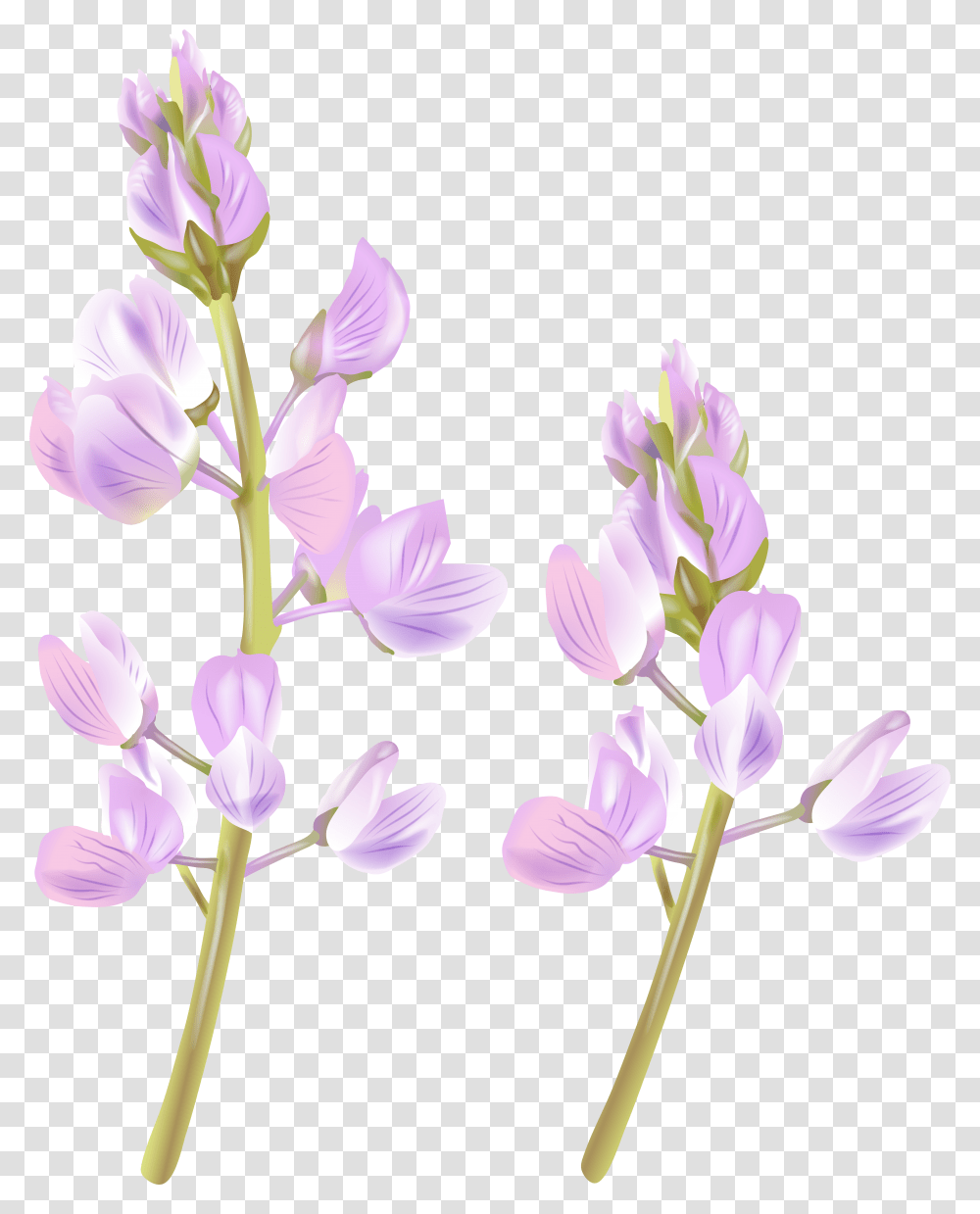 Wildflower Clipart Easter Flower Transparent Png