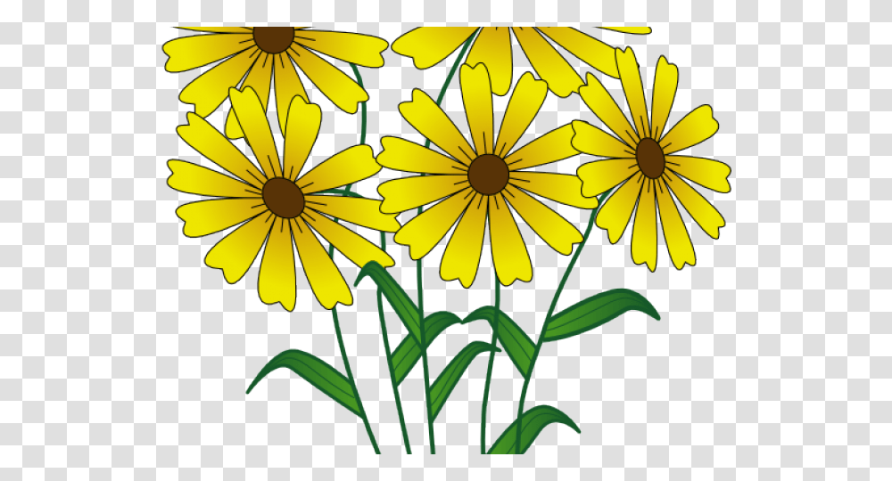 Wildflower Clipart Viver Bem Uns Com Os Outros, Plant, Blossom, Daisy, Daisies Transparent Png