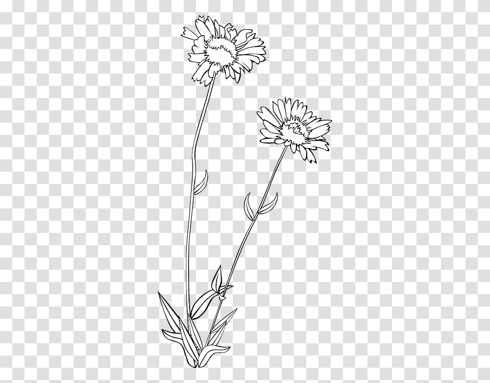 Wildflower Flower Plant Wild Flowers Clipart Black And White, Blossom, Daisy, Daisies, Graphics Transparent Png